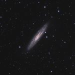 NGC253 - Sculptorgalaxie